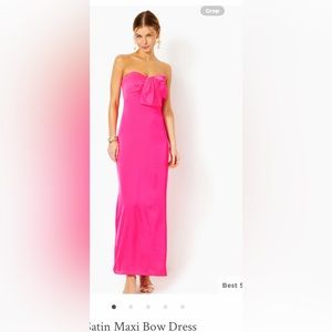 NWT Carlynn Satin Maxi Bow Dress size 12
I Missed my return window!